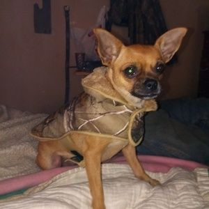 Meet your Posher, Eric